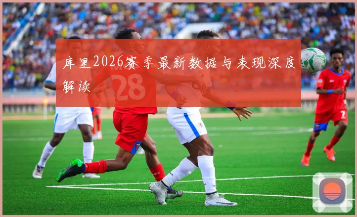 库里2026赛季最新数据与表现深度解读