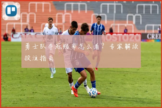 勇士队夺冠赔率怎么看?专家解读投注指南
