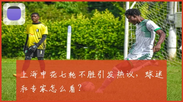 上海申花七轮不胜引发热议，球迷和专家怎么看？