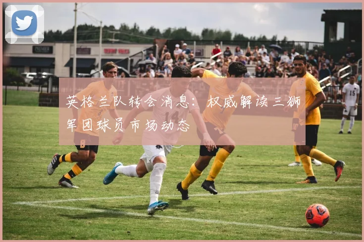 英格兰队转会消息:权威解读三狮军团球员市场动态