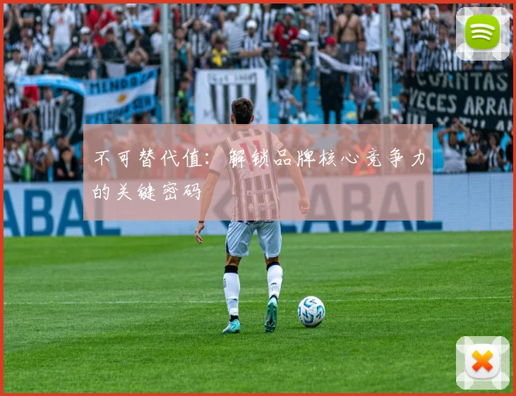 不可替代值：解锁品牌核心竞争力的关键密码