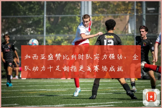 加西亚盛赞比利时队实力强劲,全队动力十足剑指更高赛场成就